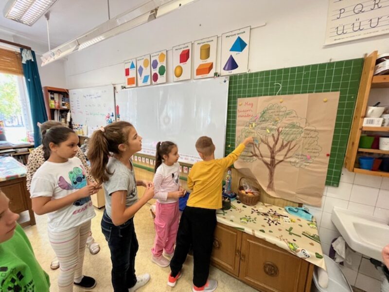 IMG_0335.jpg IMG_0335.jpg