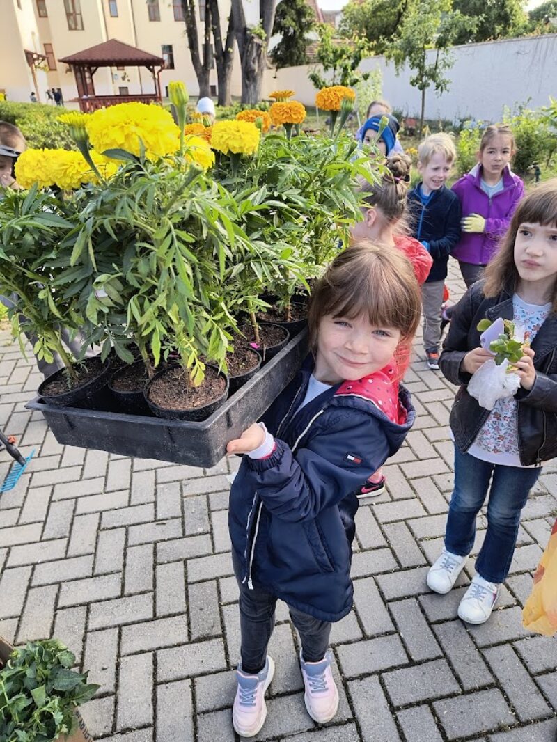 IMG_20250512_081622055_HDR.jpg IMG_20250512_081622055_HDR.jpg