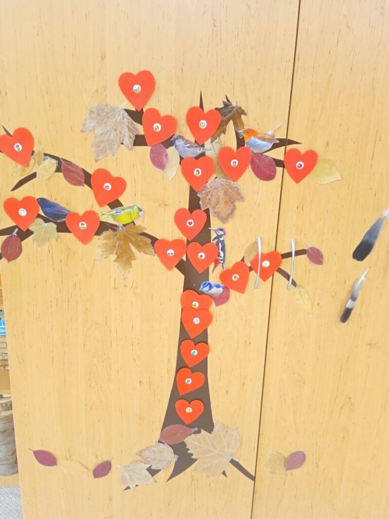 Baràtsàgfa Baràtsàgfa