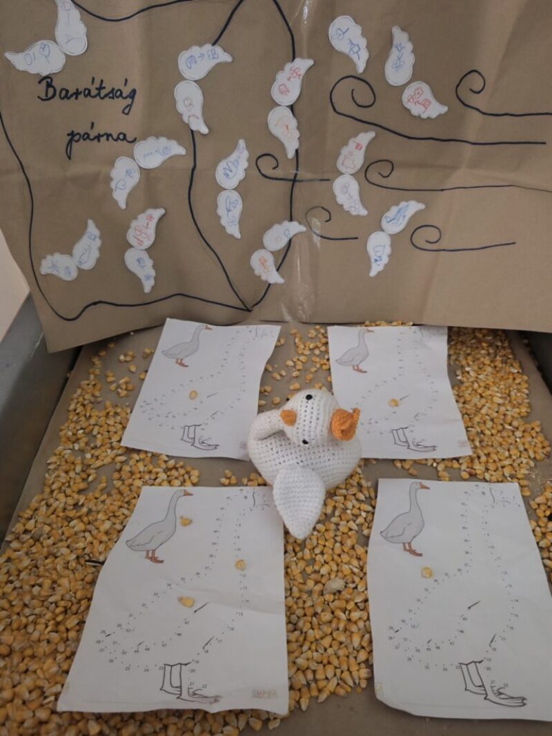 barátságpárna barátságpárna