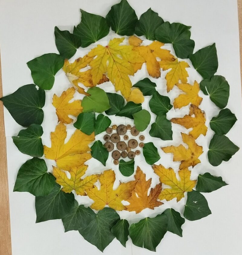 IMG_20251124_114848-1.jpg IMG_20251124_114848-1.jpg