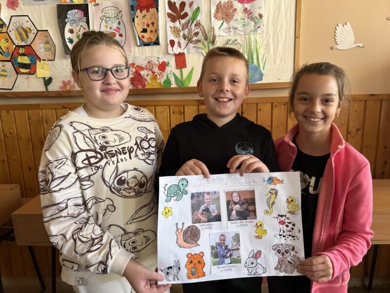 Felelős állattartás, optimizmus és kitartás gyakorlása, az ősz szépségei Felelős állattartás, optimizmus és kitartás gyakorlása, az ősz szépségei