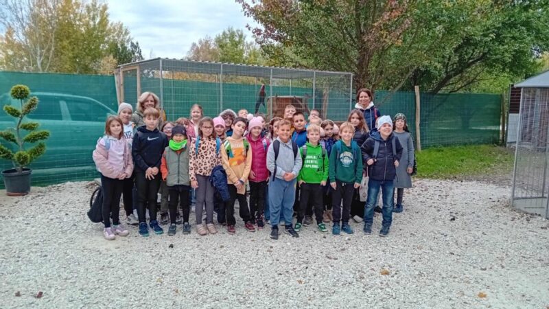 Remény, optimizmus az erősségem Remény, optimizmus az erősségem