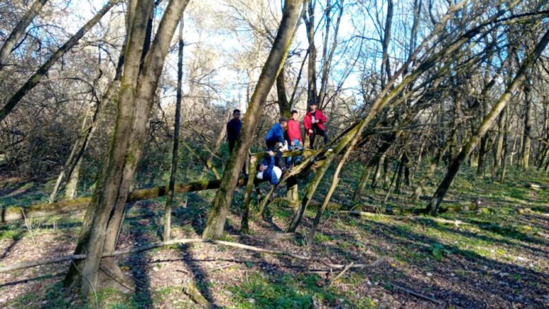 575086662_2327668731071089_8494645261318568340_n.jpg 575086662_2327668731071089_8494645261318568340_n.jpg