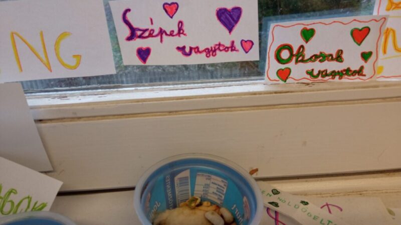 589012132_25197810503213283_7517457993239409352_n.jpg 589012132_25197810503213283_7517457993239409352_n.jpg