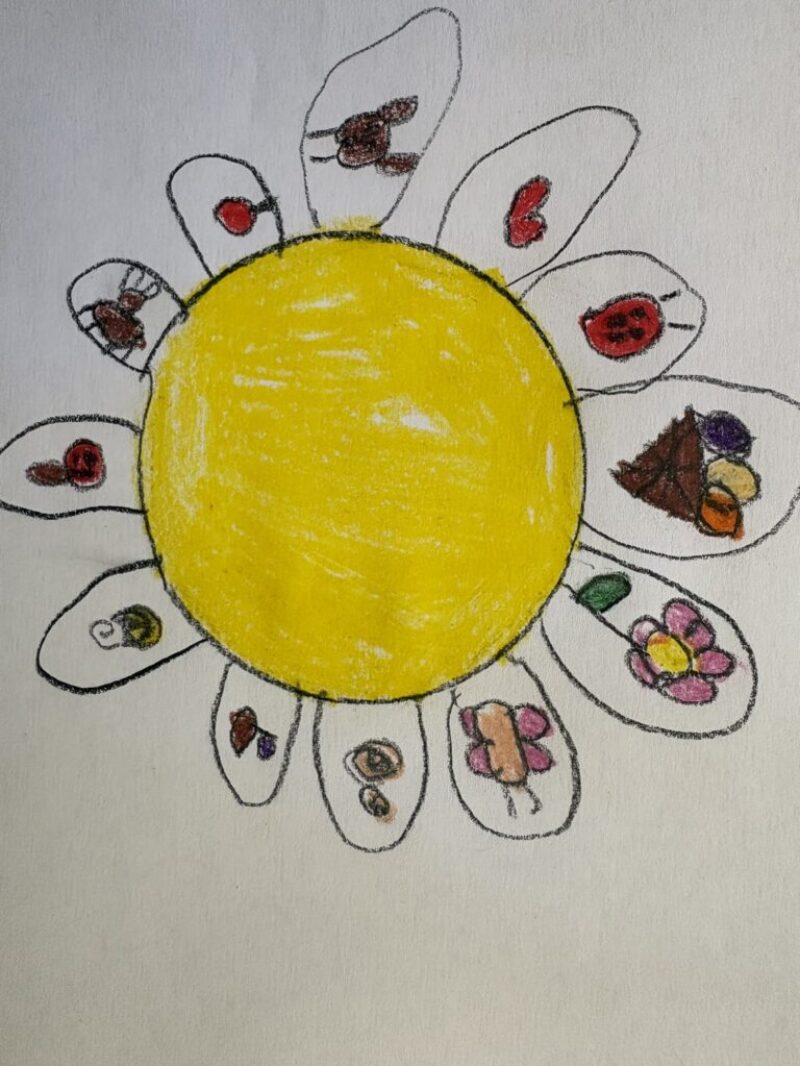 IMG_7712.jpeg IMG_7712.jpeg