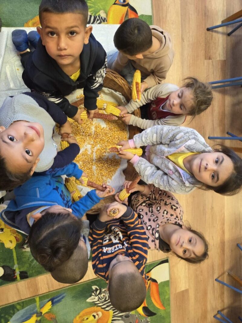 ab18beec-d9d4-4021-8d07-e6d28e71a90b.jpg ab18beec-d9d4-4021-8d07-e6d28e71a90b.jpg