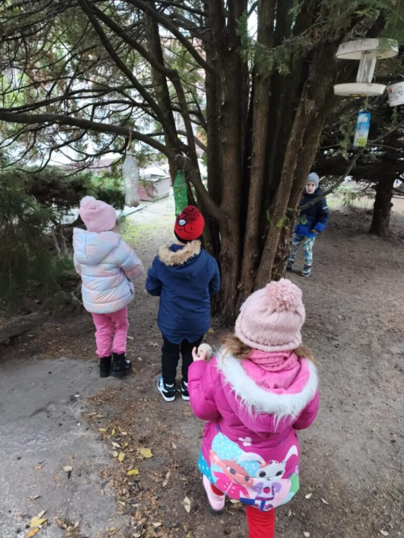 bolddec1.jpg bolddec1.jpg