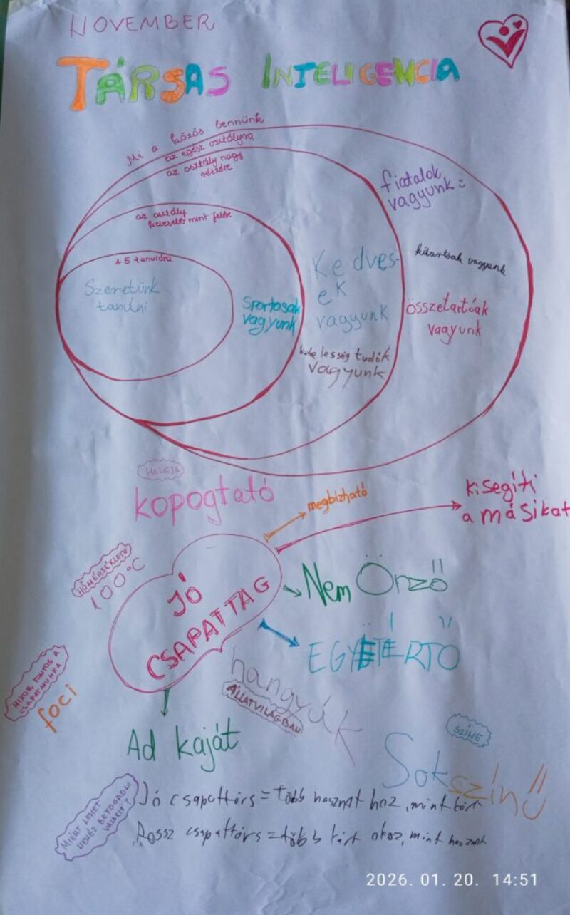 Társas intelligencia Társas intelligencia