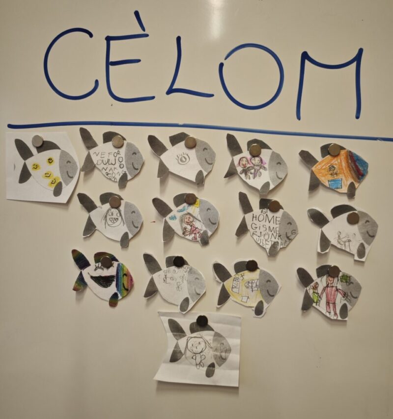 IMG_20260129_195815.jpg IMG_20260129_195815.jpg