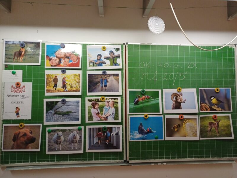 Társas kapcsolatok Társas kapcsolatok