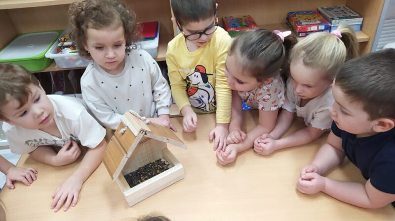 Téli madáretetés Téli madáretetés