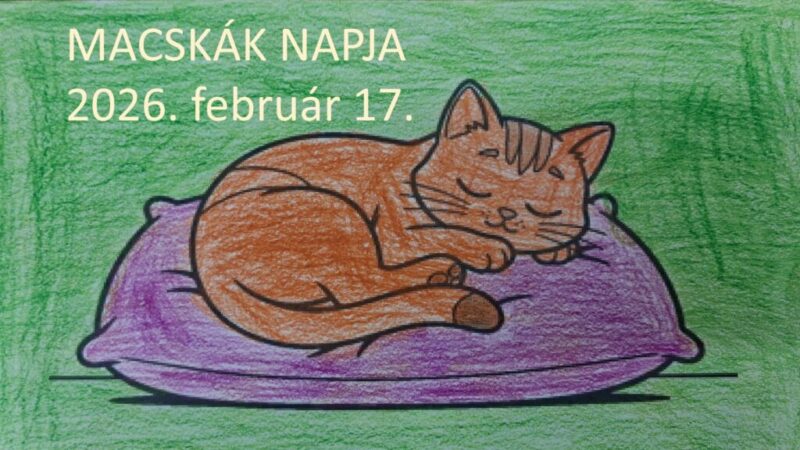 Macskak-napja-2026.jpg Macskak-napja-2026.jpg