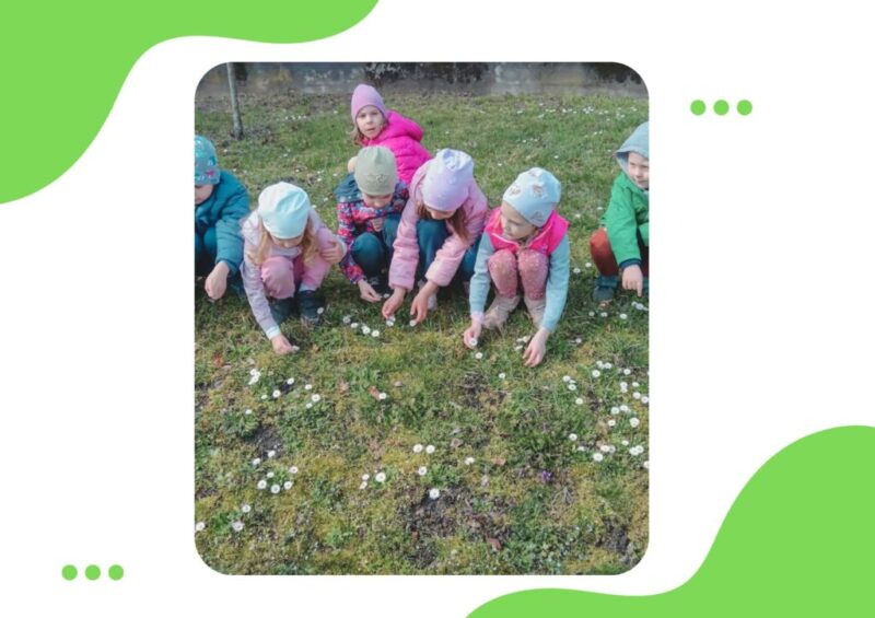 Apro-oromok-11.jpg Apro-oromok-11.jpg