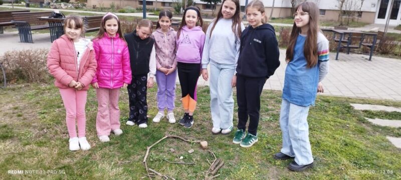 IMG_20260320_130845.jpg IMG_20260320_130845.jpg