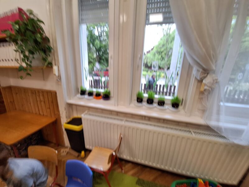 A környezet hálája A környezet hálája
