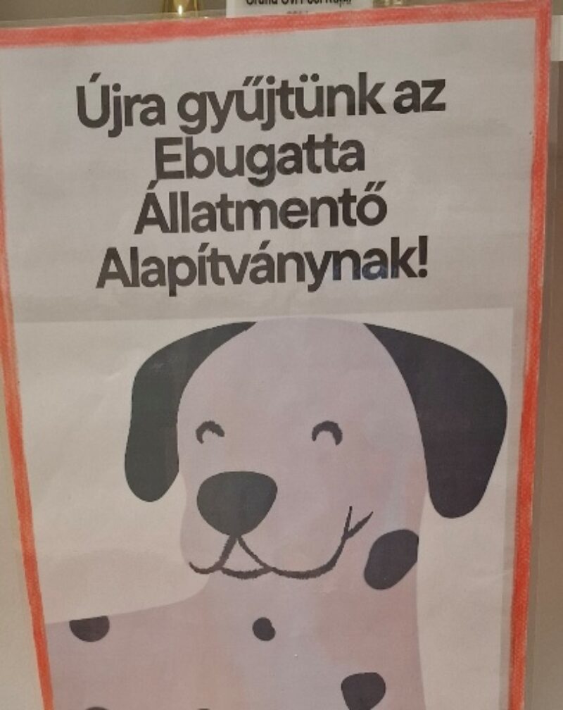 kutyus.jpg kutyus.jpg