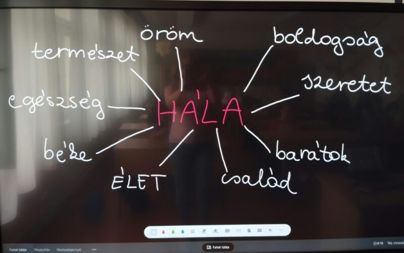 Hala-1-3.jpg
