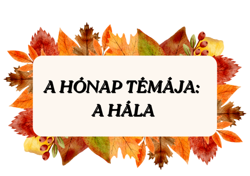 hala1.png